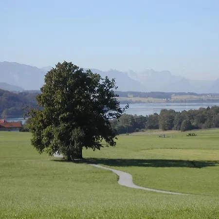 Herzog Hotel 3*