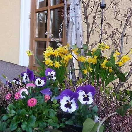 Herzog Hotel Neumarkt am Wallersee