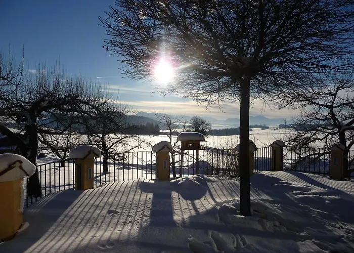 Herzog Neumarkt am Wallersee