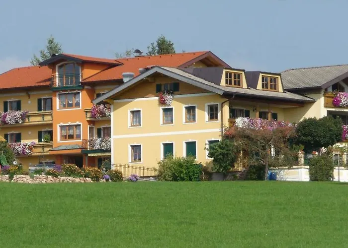 Herzog