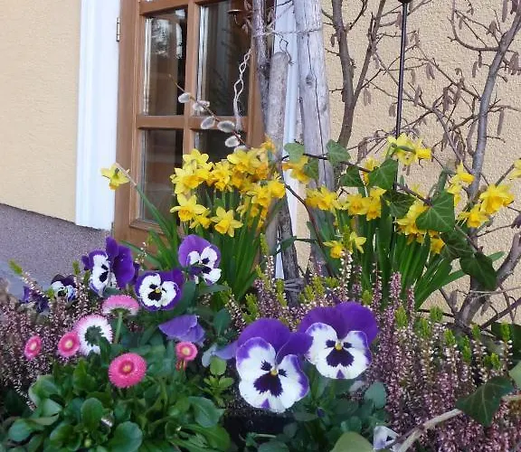 Herzog Hotel Neumarkt am Wallersee